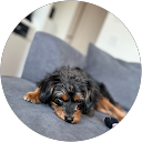 shouta ichikawa profile picture